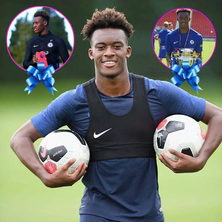 Callum Hudson-Odoi Fifa 19 Stats, Contract, Salary, Injury, Transfer