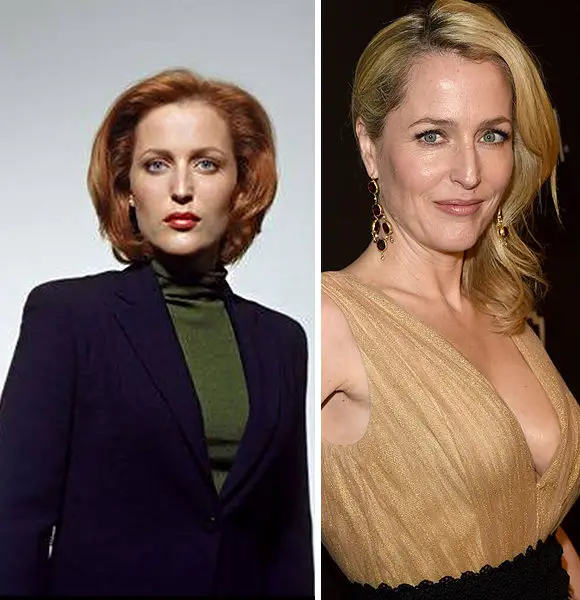 Ethereal Beauty - Gillian Anderson Has Done Plastic Surgery?