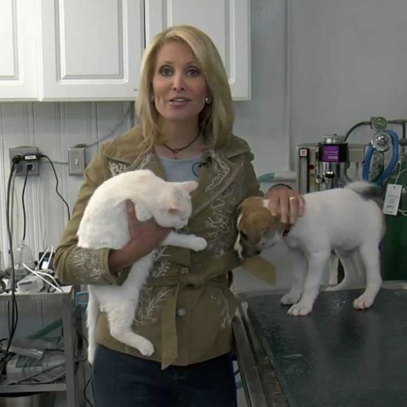 Heather Tesch's love for animals. Plus, her Married Life and 2 Children. Divorce Rumors?