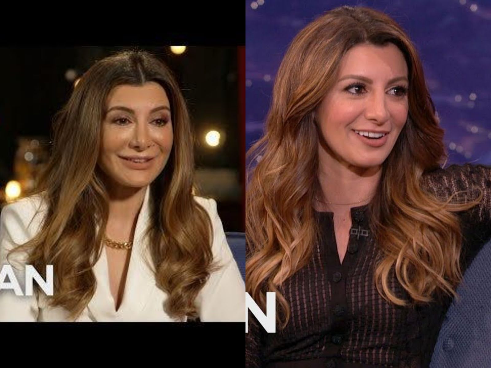 Nasim Pedrad's Appearance on Conan Show Sparking Plastic Surgery Speculation