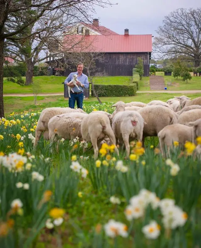 P. Allen Smith posing in his property