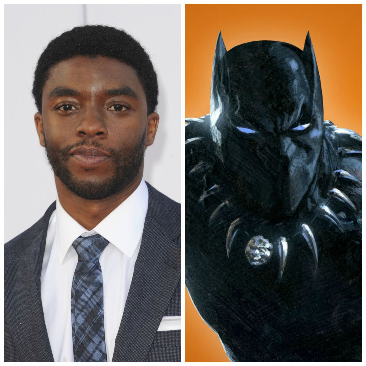 Black Panther Star Chadwick Boseman's Secret Girlfriend! Or Married?