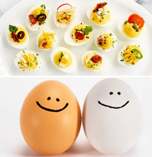 Learn About Types Of Eggs, Their Uses And The Sheer Benefits You Can Get From Them