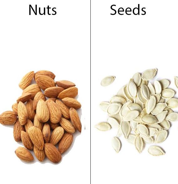 10 Impressive Health Benefits Of Nuts and Seeds Differences & List