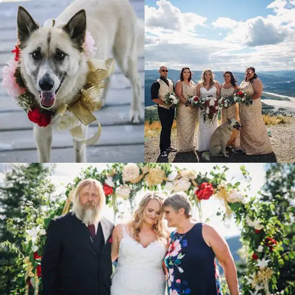 Monica Beets poses on her wedding with her family, bridesmaids, and dog Doy...