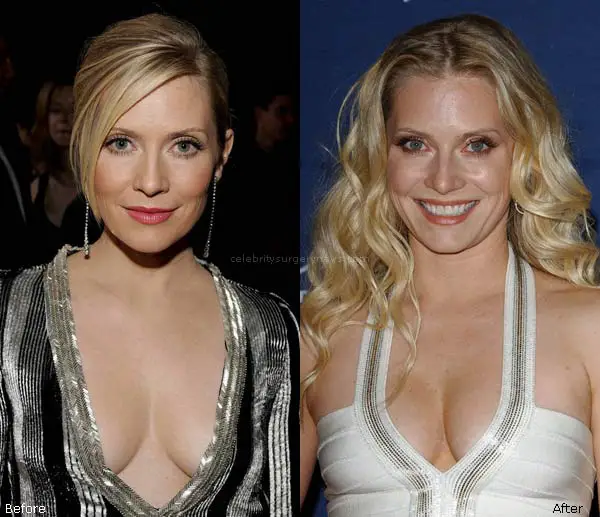 Emily Procter Fakes