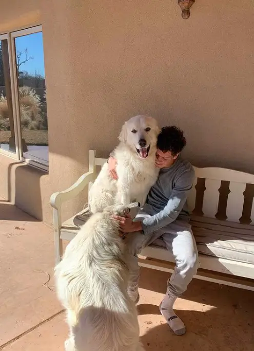 Jace Norman with his pet dogs