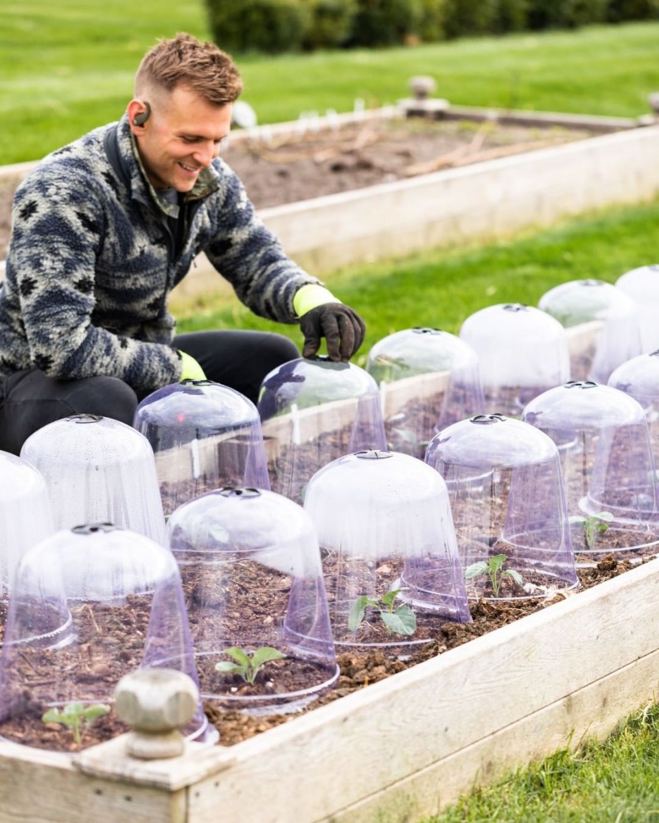 Kaleb planting broccoli on his farm