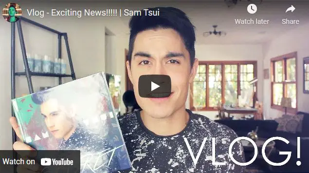 Sam Tsui's Boyfriend Announcement